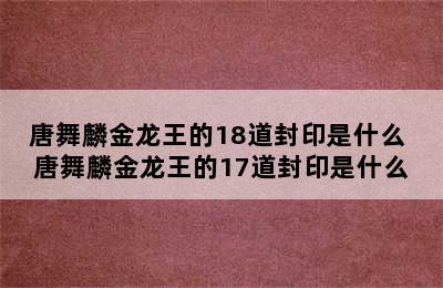 唐舞麟金龙王的18道封印是什么 唐舞麟金龙王的17道封印是什么